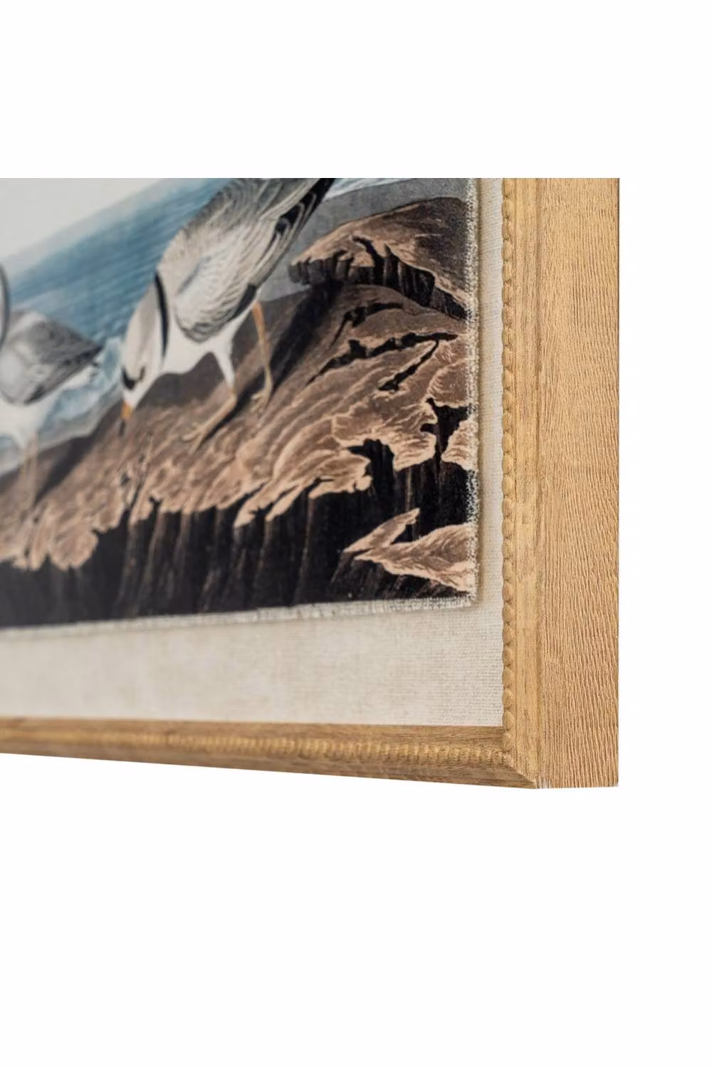 KDMD Flora & Fauna Plovers Linen Wall Art with Beaded Frame in Brown and Multicolour – 2