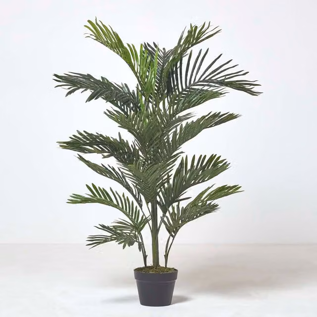 Homescapes Multi Stem Green Palm Tree in Pot, Height: 180 cm, Green