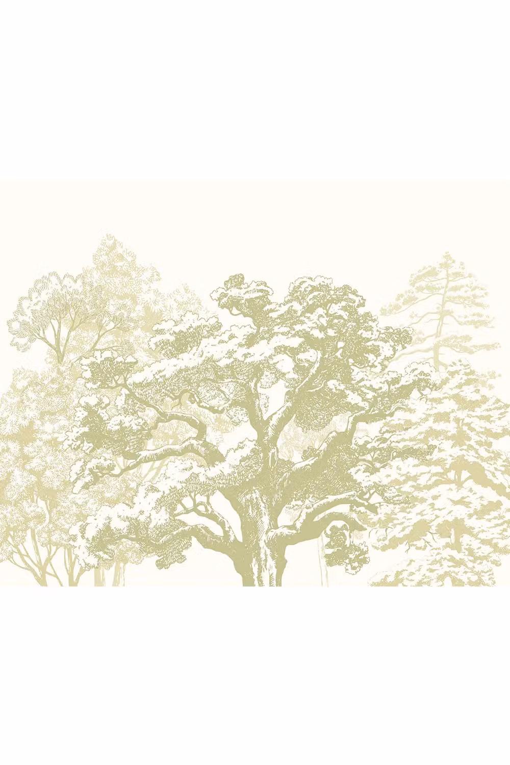 Origin Murals Etched Trees Floral Wall Mural in Green, W: 300 cm, H: 240 cm – 2