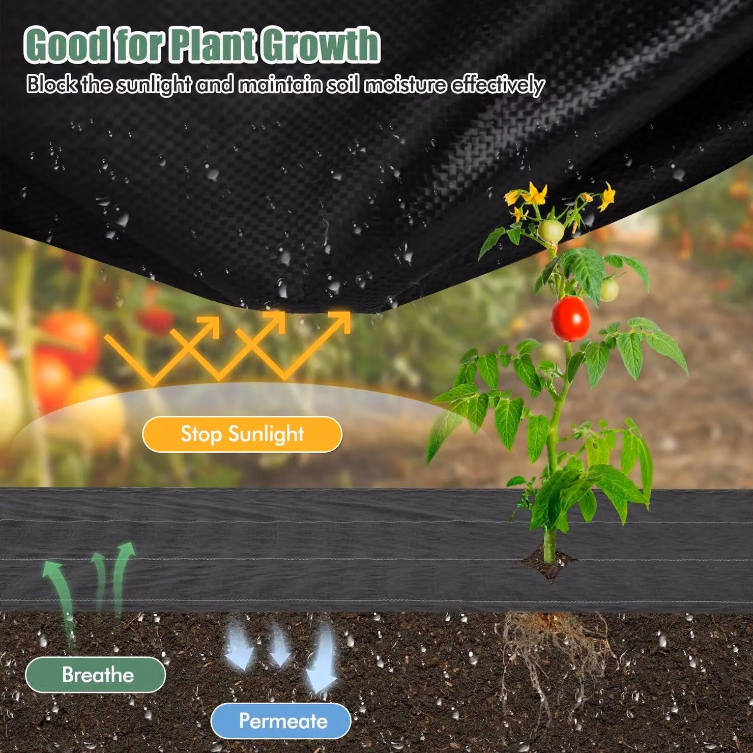 Costway Black Garden Weed Barrier Fabric with Guide Line, W: 1 m, L: 50 m – 6