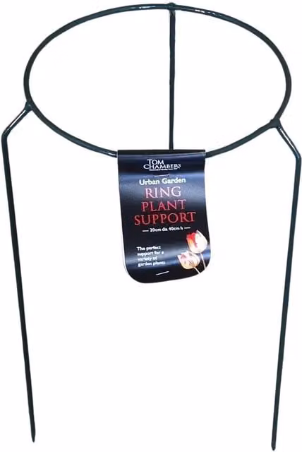 Tom Chambers Green Metal Garden Plant Support Ring Small, W/D/H: 20 x 20 x 40 cm