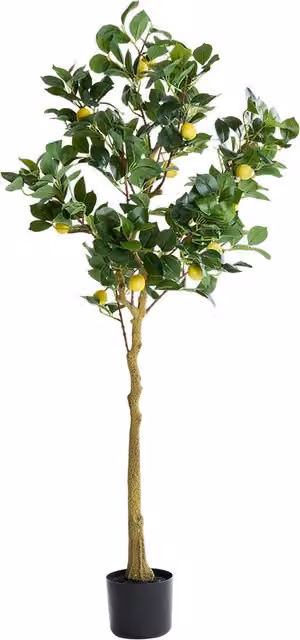 Livingandhome Artificial Mediterranean Lemon Tree in Green and Yellow