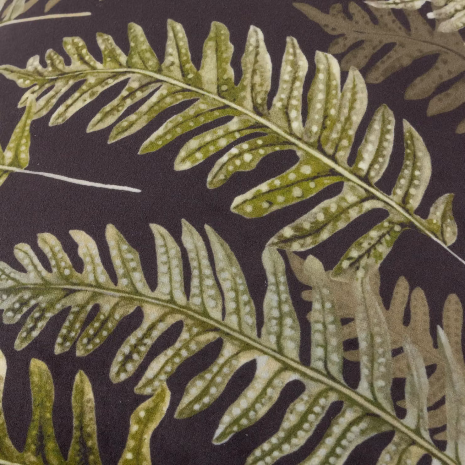 Wylder Nature Kielder Forest Fern Night Velvet Cushion in Black and Green, W/D/H: 50 x 30 x 50 cm – 4