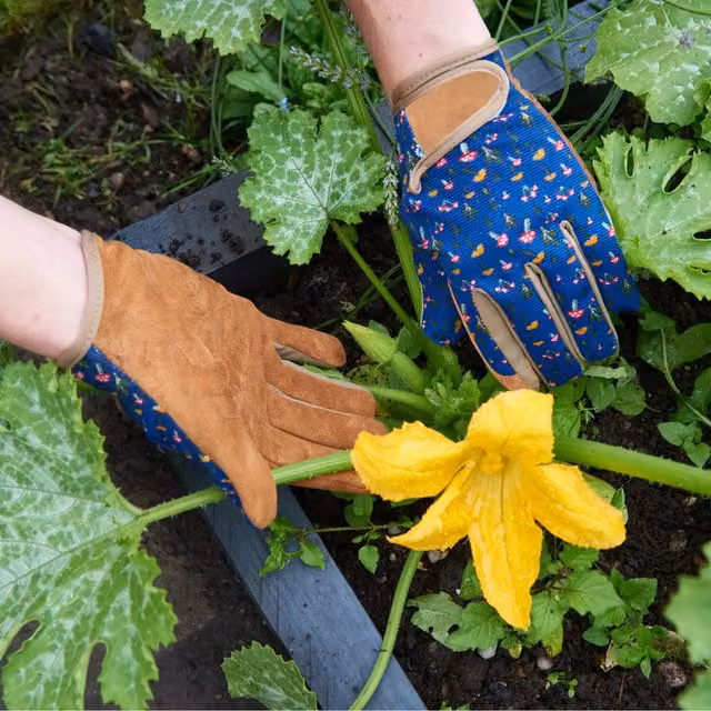 Briers Mushrooms Smart Gardener Gloves in Blue