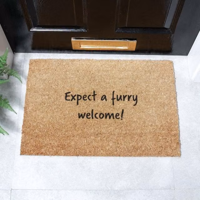 Artsy Mats Expect a Furry Welcome Coir Doormat in Brown, W: 60 cm, D: 40 cm
