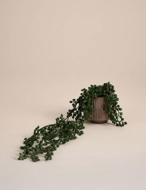 Moss & Sweetpea Artificial String of Pearls Green Plant in Brown Textured Ceramic Pot