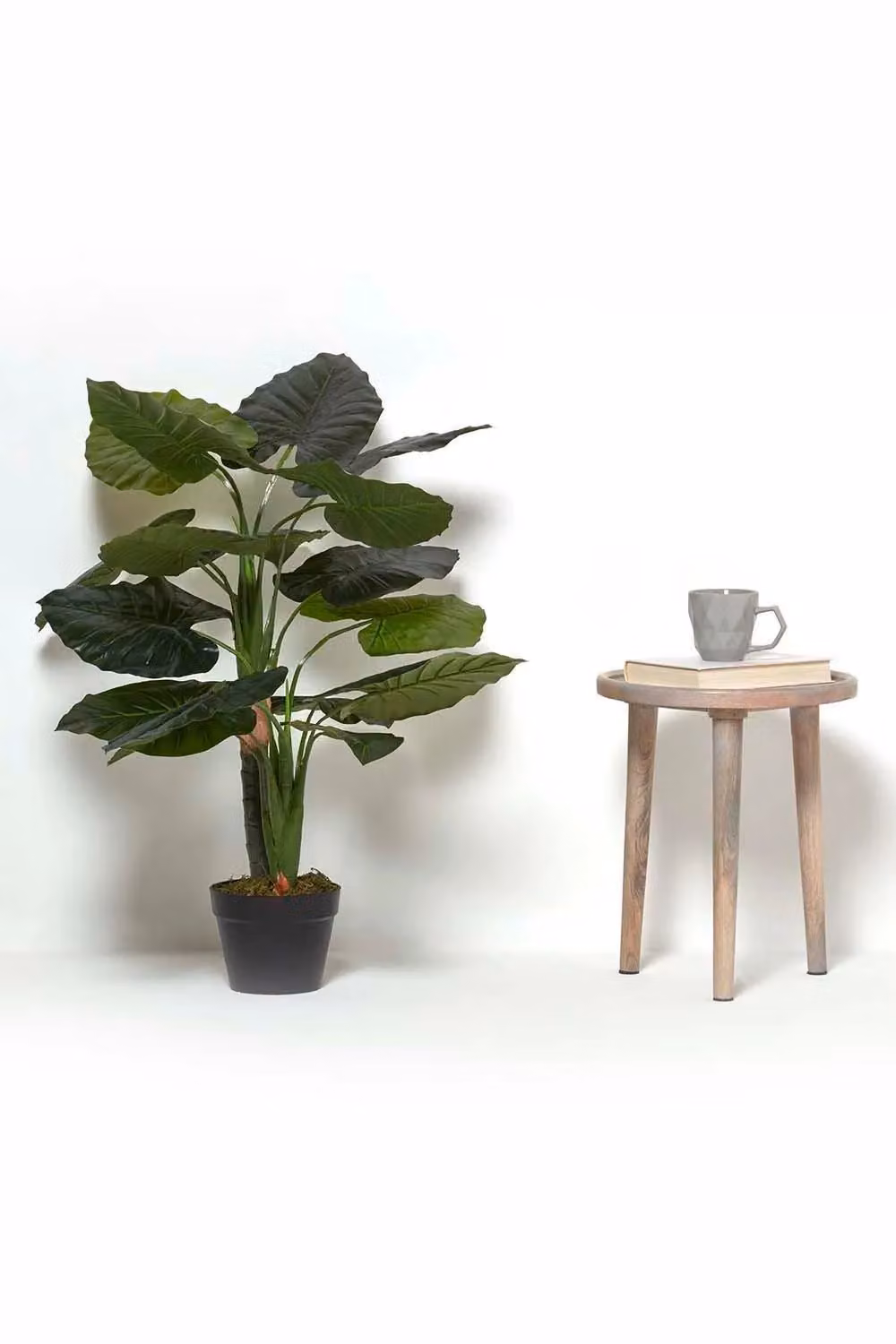Homescapes Green Taro Plant in a Black Pot, Height: 90 cm – 4