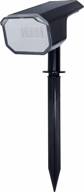 Litecraft Canyas Outdoor Solar LED Smart Spike Light with Remote Control, Black