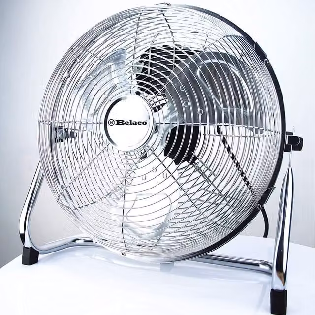 Belaco Silver Metal Floor Fan, 30.48 cm