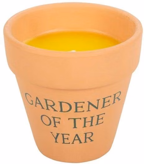 KDMD Gardener of the Year Citronella Votive Candle in Brown Ceramic – 1