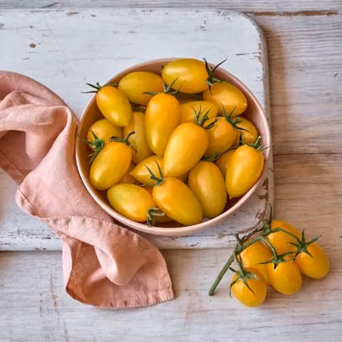 Thompson & Morgan Tomato Bliss F1 Yellow Striped Snackable Fruit Vegetable Seeds, 8 Seeds per Packet – 2