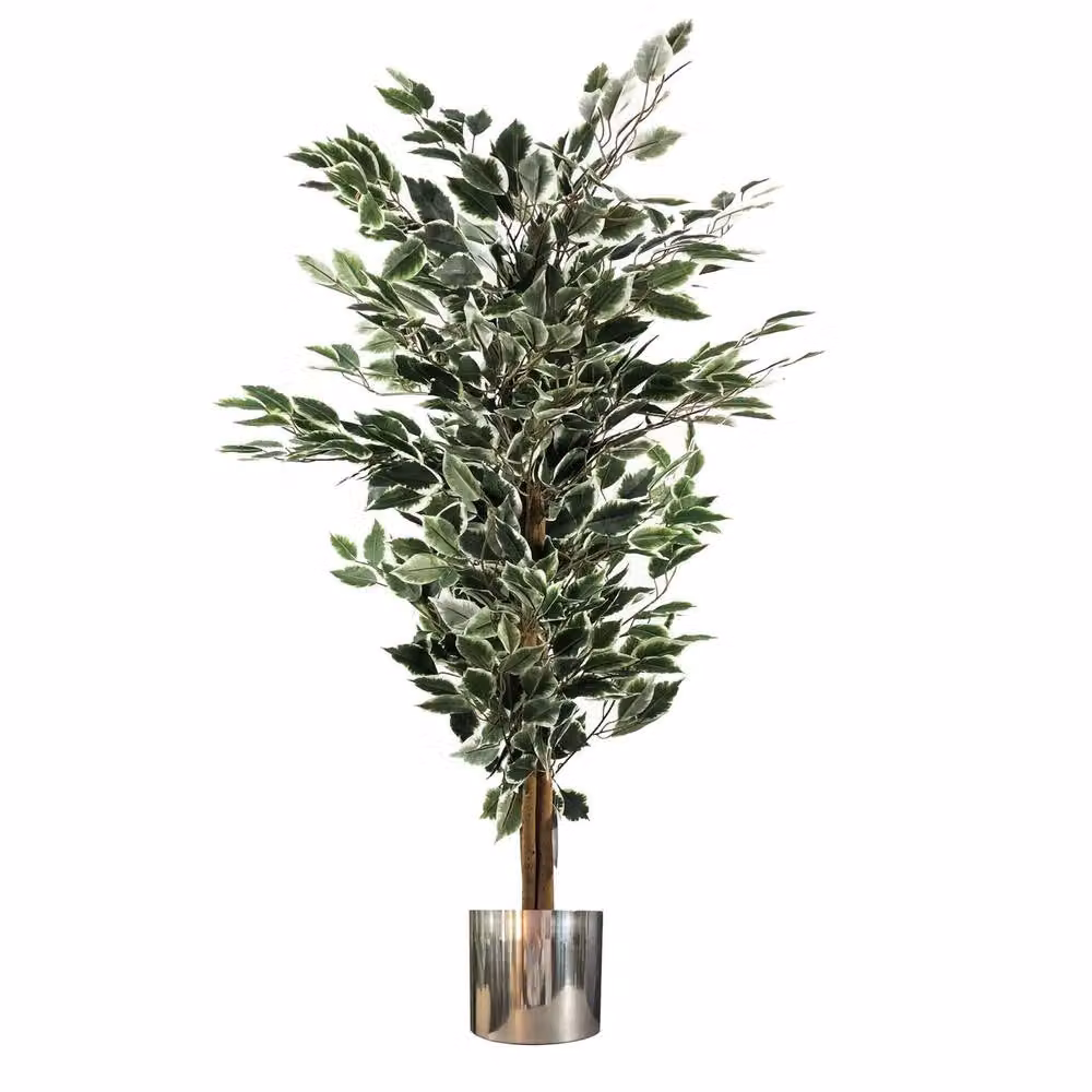 Botanik Leaf 130cm Artificial Variegated Bushy Ficus Tree with Silver Planter in Green and White – 3