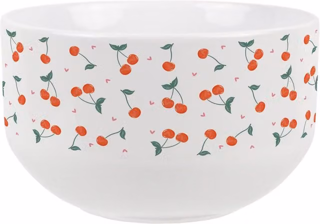 Purely Home Floral Ceramic Cereal Bowl in Red and White