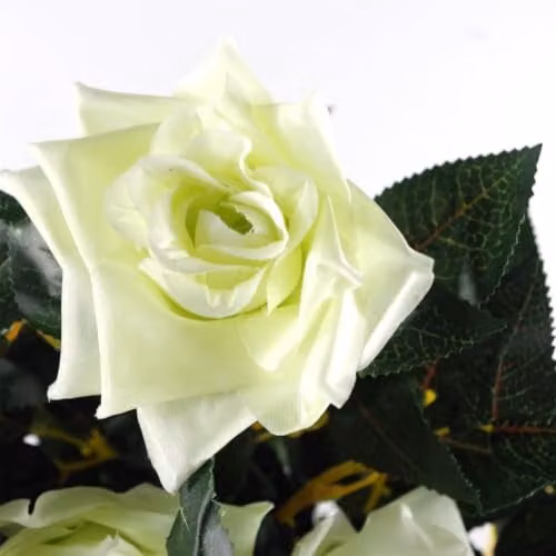 Artificial Cream Rose Tree with Twisted Vine Detail in White and Beige, Height: 90 cm – 3