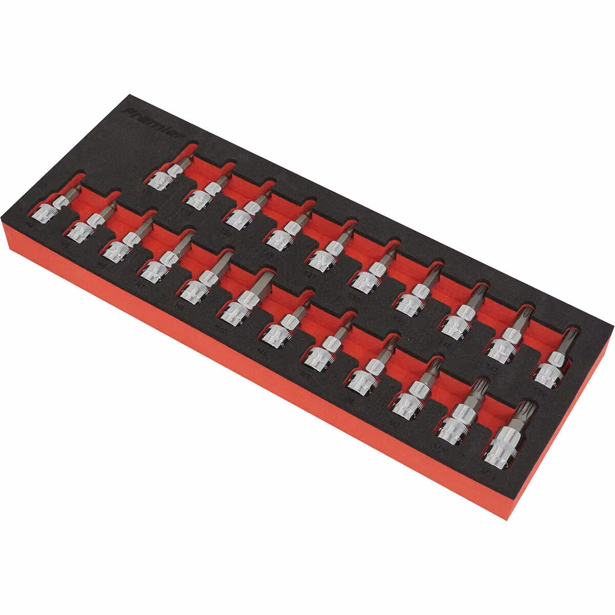 Loops 22pc TRX Star, Hex Key and Spline Socket Bit Set, 3/8 inch Square Drive, Silver and Multicolour – 2