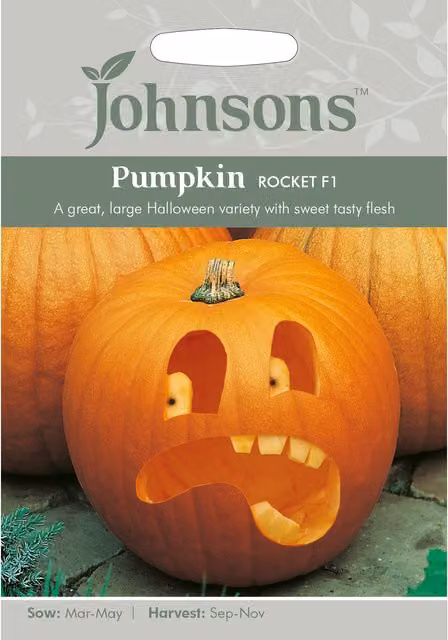 Johnsons Pumpkin Rocket F1 Orange Vegetable Seeds