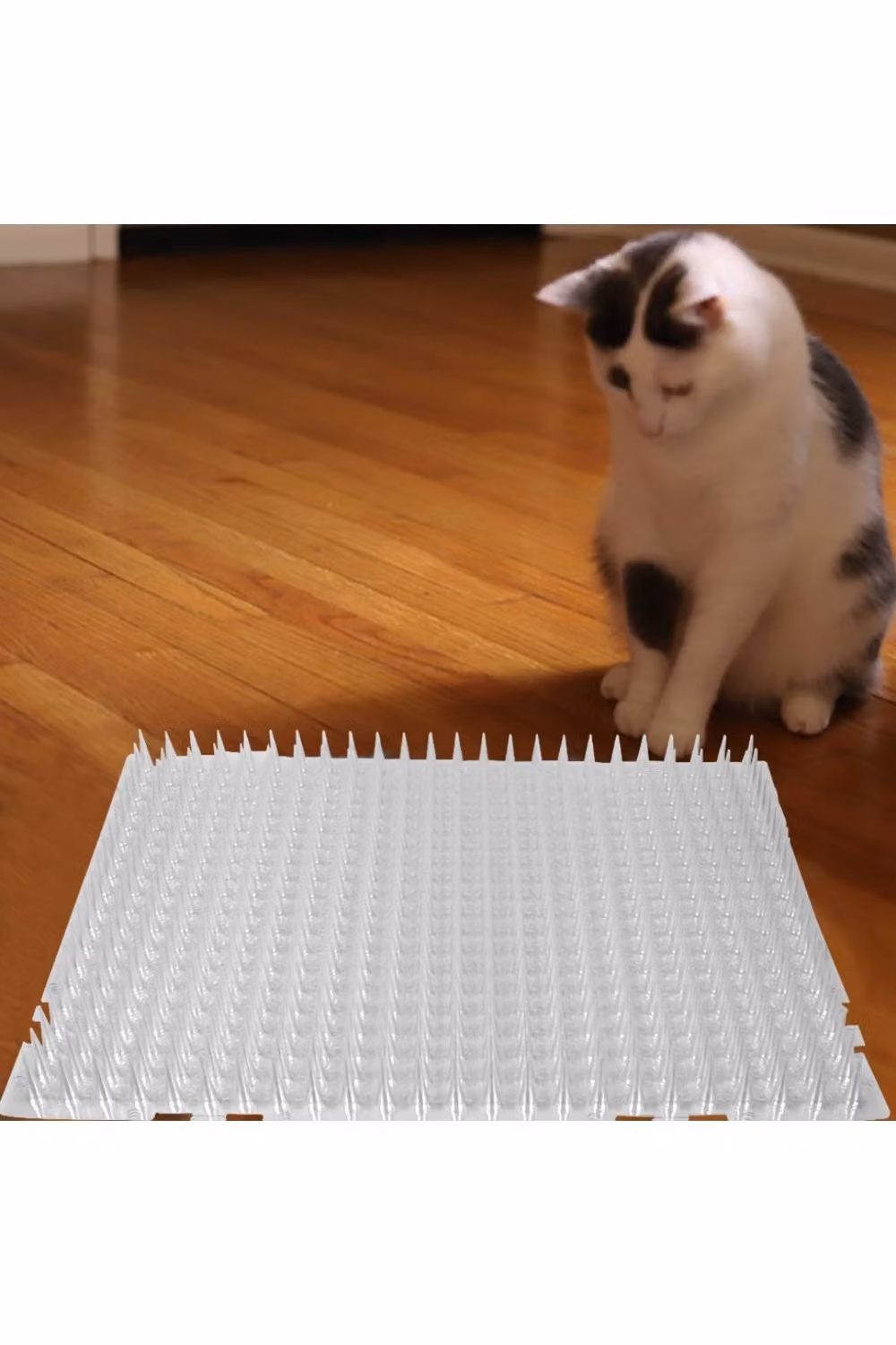 KDMD 8 Pack Humane Cat Deterrent Spike Mats in Clear, W: 33 cm, D: 42 cm – 2