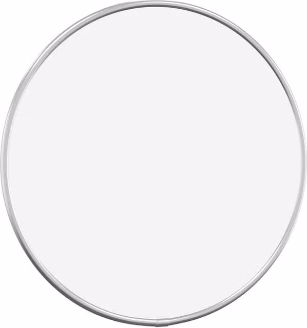 Berkfield Home Round Silver Wall Mirror, Diameter: 30 cm