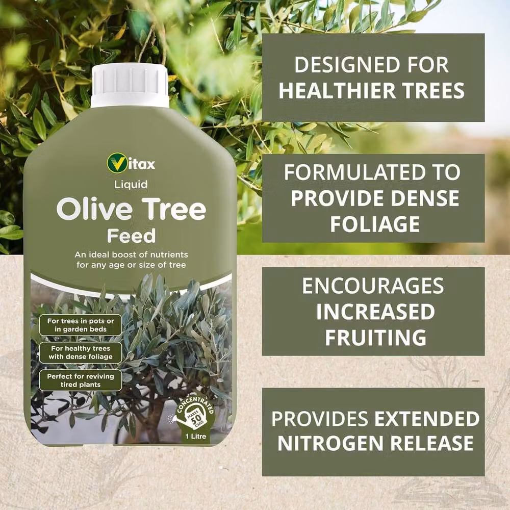 Vitax Olive Tree Concentrated Liquid Feed, 1 l, Green – 4