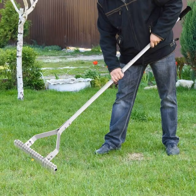 FLAVORA Silver Aluminium Garden Thatch Rake with 178 cm Long Handle