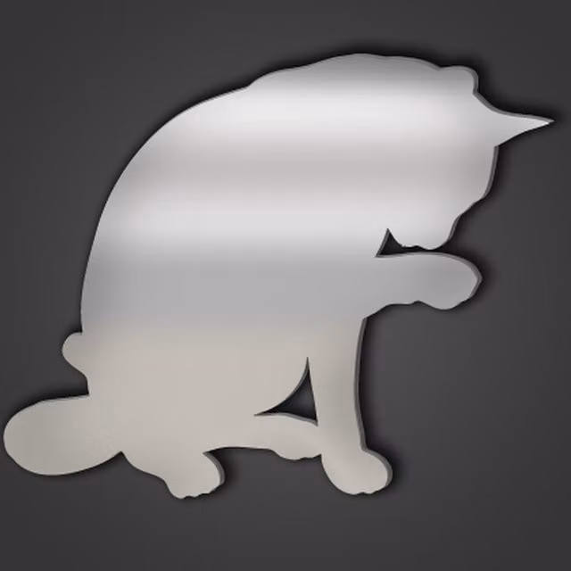 Cat Style 8 Silver Acrylic Wall Mirror for Pets