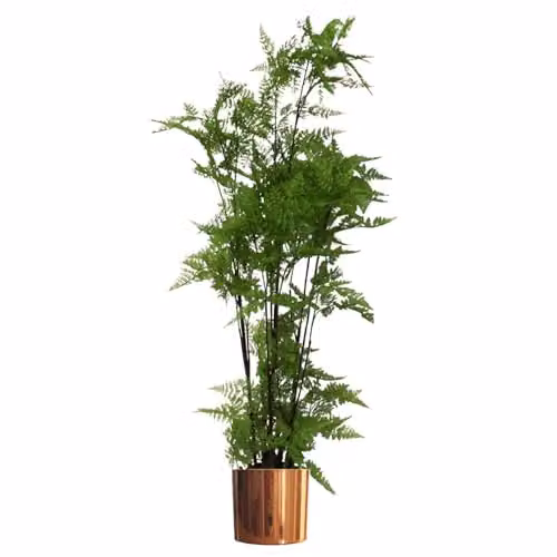 Leaf Design UK Artificial Moss Base Fern Foliage Plant with Copper Metal Planter in Green, H 150 cm x W 60 cm x D 60 cm