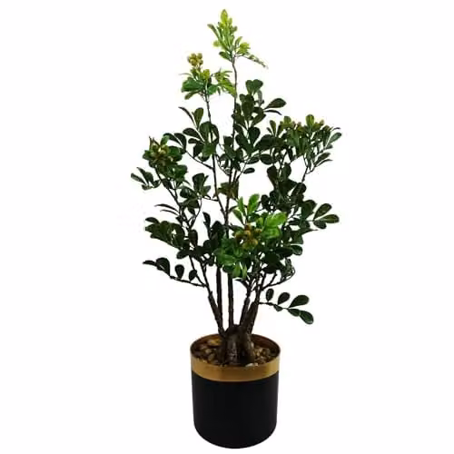 Leaf Green Artificial Tabletop Bonsai Tree, H 60 cm x W 30 cm x D 30 cm