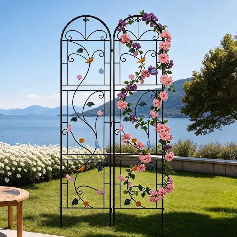 Hinsinc 2-Piece Metal Garden Trellis with Multicolour Bird and Floral Design in Black, W/H: 48 x 214 cm – 2
