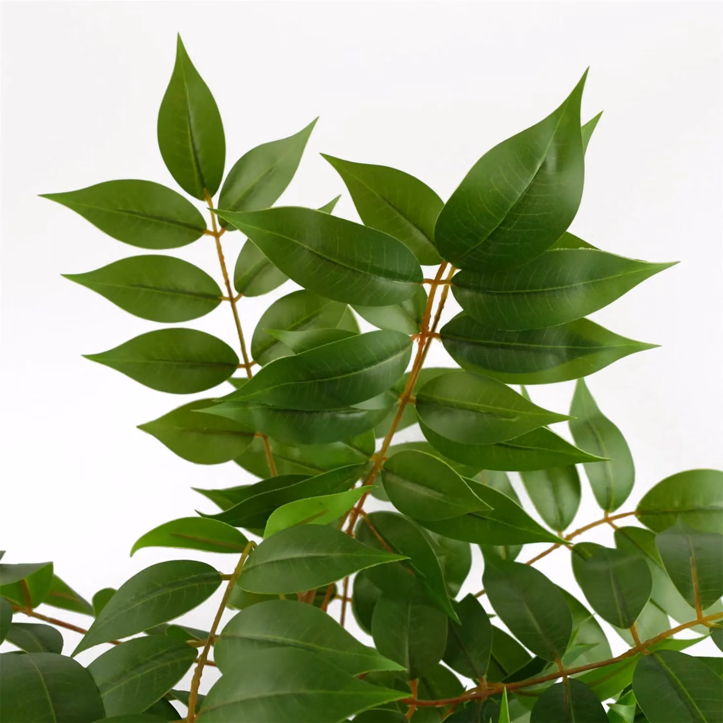 Leaf Artificial Toona Sinensis Potted Tree in Green, Height: 65 cm – 5