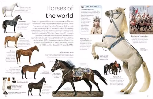 DK Eyewitness Horse Book in Multicolour Paper Edition – 4