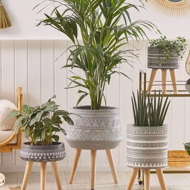 Wyld and Coco Tall Round Plant Stand in Light Grey Magnesium with Beechwood Base