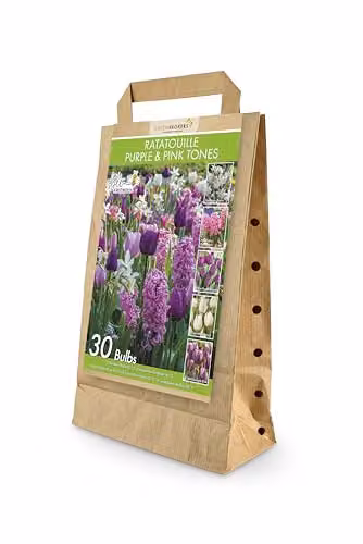 GreenBrokers Ratatouille Spring Flower Bulbs, 30 Bulbs in Purple and Pink Tones including Narcissus Thalia, Hyacinthus Pink Pearl and Tulipas