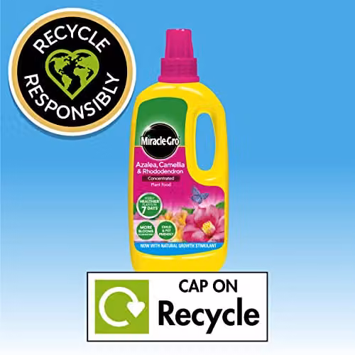 Miracle-Gro Concentrated Liquid Plant Food for Azalea, Camellia and Rhododendron, 1 l – 4