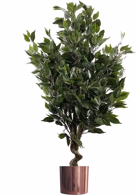 Green Artificial Evergreen Ficus Tree, H 110 cm x W 60 cm x D 25 cm
