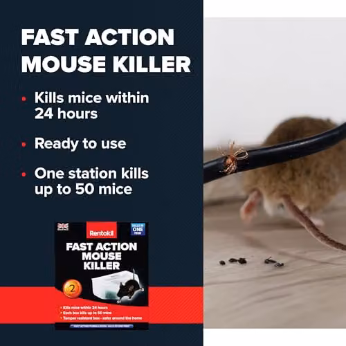 Rentokil Fast Action Mouse Killer Twin Pack - Ready-baited Indoor Rodent Bait Stations for Efficient Elimination of Mice, Pack of 2 – 4