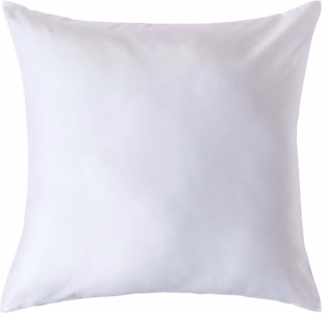 Homescapes Organic Egyptian Cotton Pillowcase, White, W: 80 cm