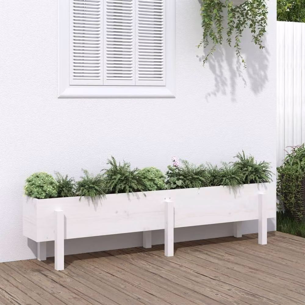Berkfield Home Garden White Solid Wood Pine Raised Bed W: 160 cm, D: 30 cm, H: 38 cm – 2