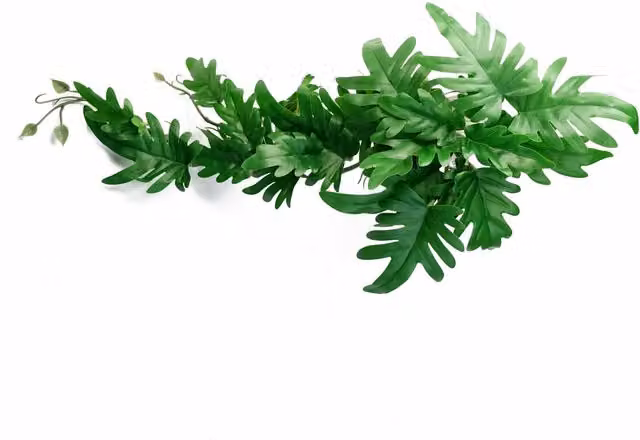 Leaf UK Artificial Hanging Philodendron Plant in Green and Multicolour, 50 cm – 1