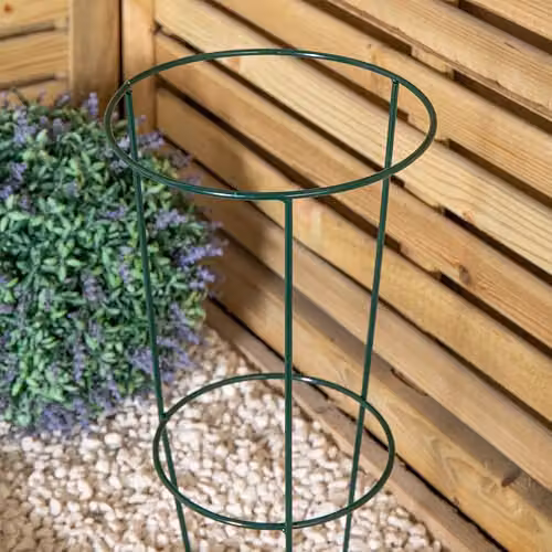 Samuel Alexander Pack of 3 Urban Green Conical Garden Plant Support Rings in Dark Green, 20 cm – 2