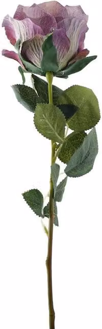 Kingsbury Gifts Single Stem Vintage Lilac Silk Garden Rose, Height: 35 cm