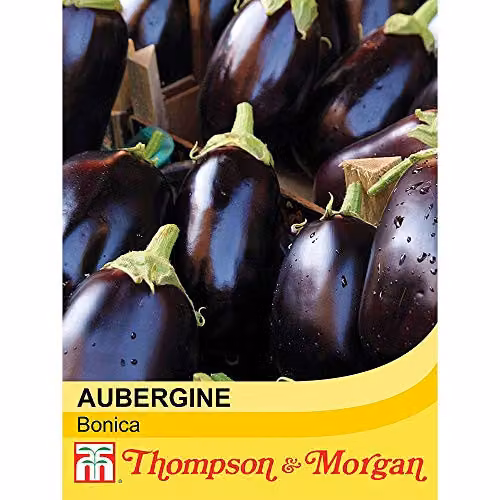 Thompson and Morgan Aubergine Bonica F1 Hybrid Purple Vegetable Seeds, 13 Seeds – 2