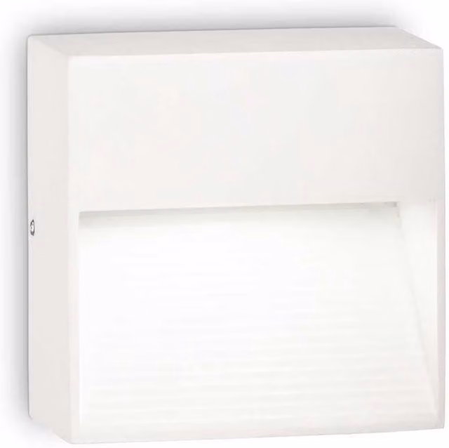 Netlighting Modern White Outdoor Wall Light with Downlighting, IP44, G9