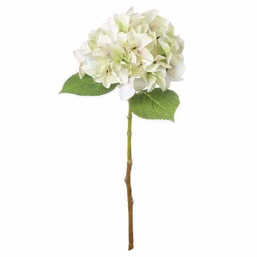 Hill Interiors Shabby Chic Green Single Hydrangea Artificial Flower W/D/H: 30 x 30 x 50 cm