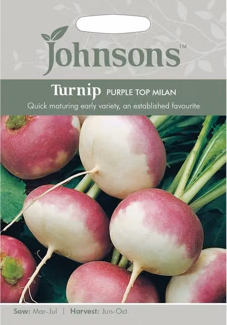 Johnsons Purple Top Milan Turnip Vegetable Seeds