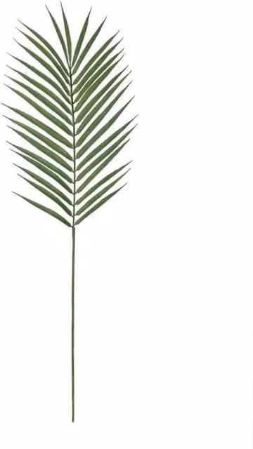 KDMD Green Long Stemmed Palm Leaves, 6 Pack