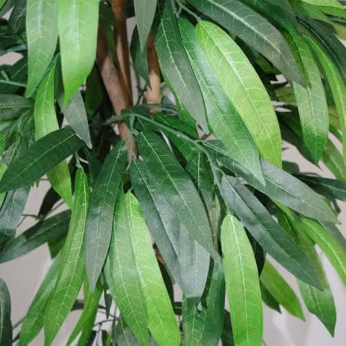 Leaf Design UK Realistic Artificial Mango Tree, Green, Height: 120 cm – 3