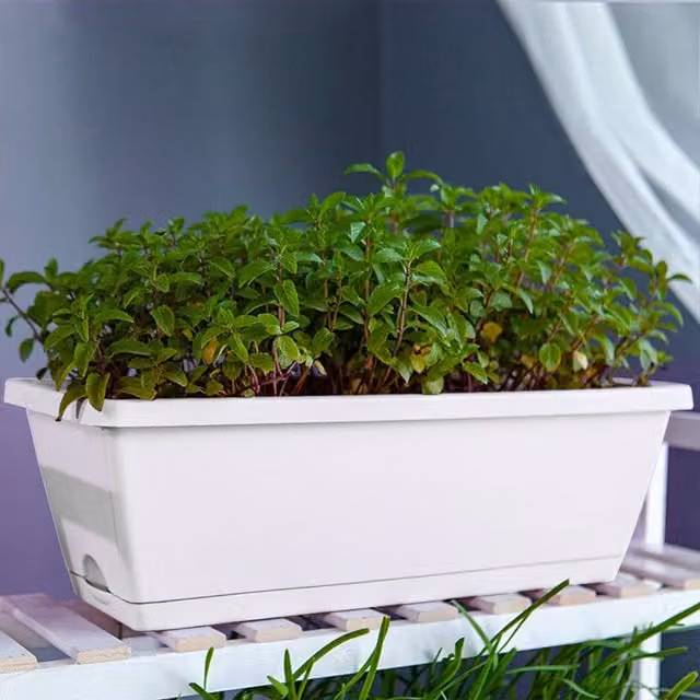 Livingandhome Set of 5 Plastic Garden Planter Tubs for Herb, Vegetable or Ornamental Gardens, Grey and White, 15l