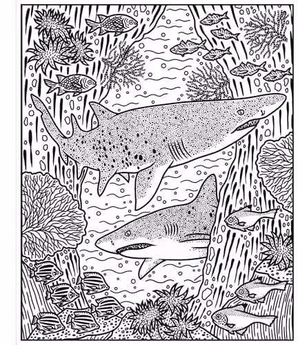 Usborne Sharks Magic Painting Book in Multicolour – 2