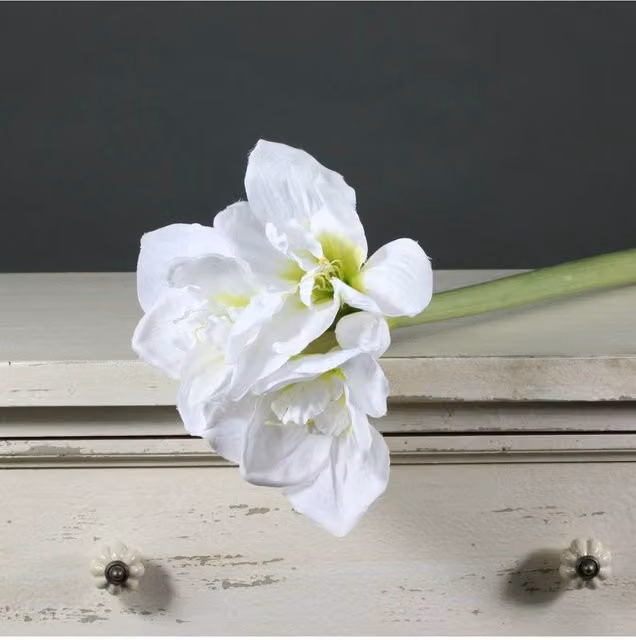KDMD Amaryllis Spray White Artificial Flowers, Height: 60 cm – 1