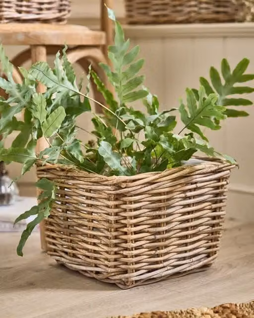 Dibor Traditional Medium Square Wicker Lined Planter Basket in Grey and Brown